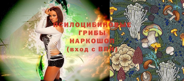 mix Арсеньев