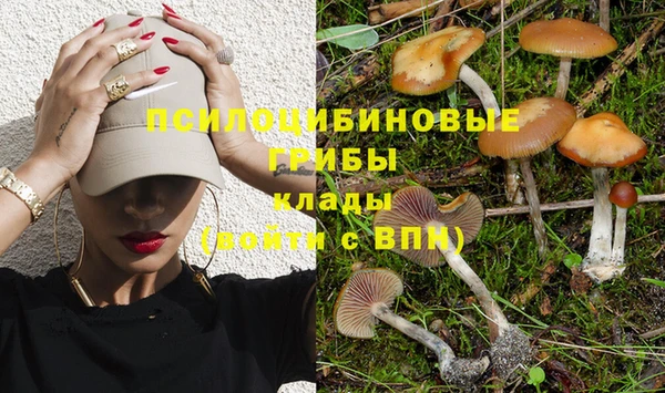 mix Арсеньев
