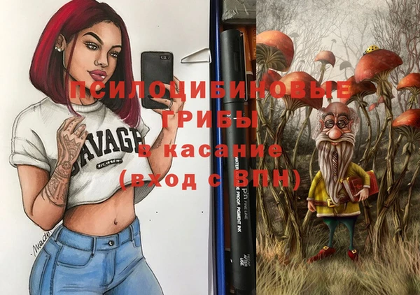 стафф Армянск