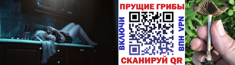 наркота Краснослободск Галлюциногенные грибы MAGIC MUSHROOMS